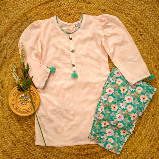 Pastel Pink 2 pcs Lawn suit (FSB-003)