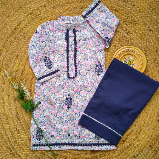 Pink and Blue Embroidered 2 pcs festive dress-(FSE-001)