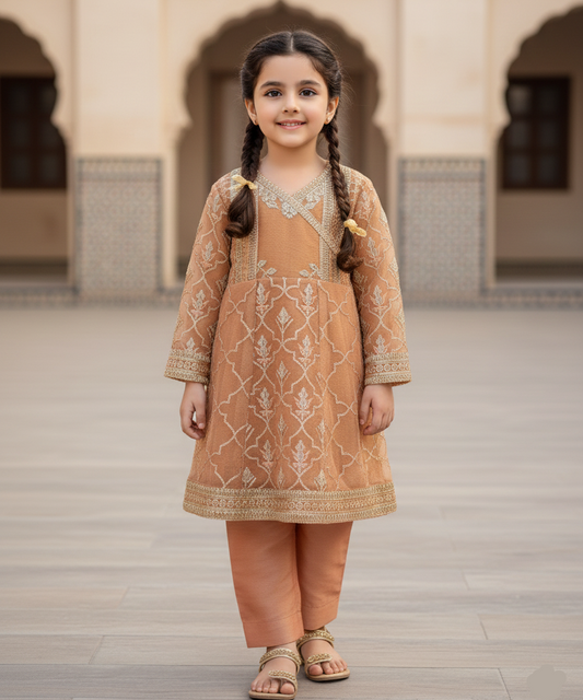 Peach Gold 2 PC Organza suit (BFC-0025)